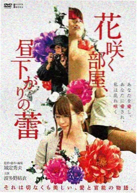岁月如歌分集剧情介绍分集海报